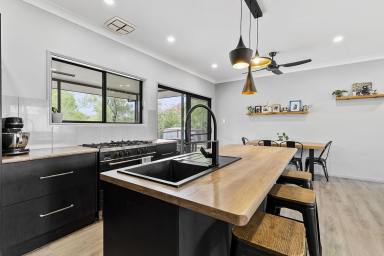 Acreage/Semi-rural For Sale - QLD - Mareeba - 4880 - Modern Family Home with Style, Space & Sustainability  (Image 2)