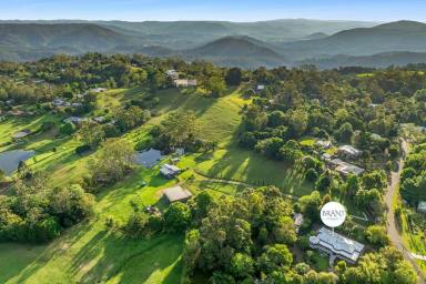 House For Sale - QLD - Witta - 4552 - Majestic Residence in Peaceful Witta!  (Image 2)