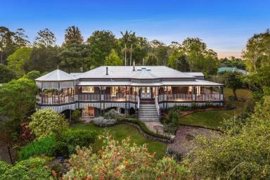 House For Sale - QLD - Witta - 4552 - Majestic Residence in Peaceful Witta!  (Image 2)