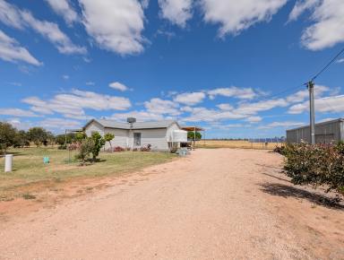 House For Sale - NSW - Koraleigh - 2735 - Rural Charm Meets Modern Efficiency – 12ha Farmlet with Solar & Tractor!  (Image 2)