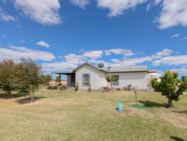 House For Sale - NSW - Koraleigh - 2735 - Rural Charm Meets Modern Efficiency – 12ha Farmlet with Solar & Tractor!  (Image 2)