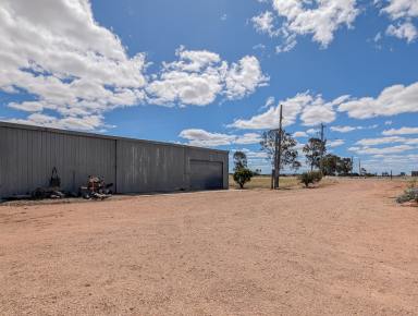 House For Sale - NSW - Koraleigh - 2735 - Rural Charm Meets Modern Efficiency – 12ha Farmlet with Solar & Tractor!  (Image 2)