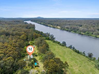 Acreage/Semi-rural For Sale - NSW - Watersleigh - 2540 - River Views, Space and Serenity  (Image 2)