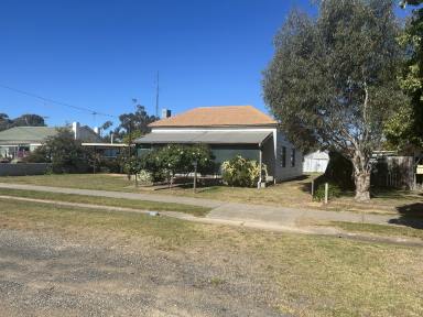 House For Sale - NSW - Culcairn - 2660 - Large Block in Country Culcairn  (Image 2)