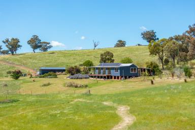 Acreage/Semi-rural Auction - NSW - Canowindra - 2804 - Beautiful lifestyle block, STUNNING VIEWS, with a charming long term established air BnB 4-bedroom cottage- Potential for instant income!  (Image 2)