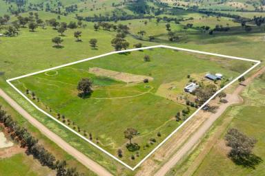 Acreage/Semi-rural Auction - NSW - Canowindra - 2804 - Beautiful lifestyle block, STUNNING VIEWS, with a charming long term established air BnB 4-bedroom cottage- Potential for instant income!  (Image 2)