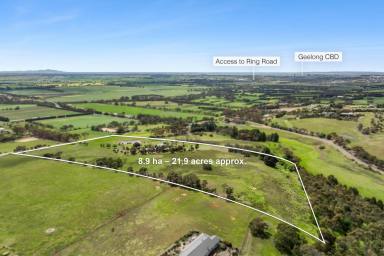 Lifestyle For Sale - VIC - Barrabool - 3221 - Architectural Brilliance offering Peace & Proximity  (Image 2)