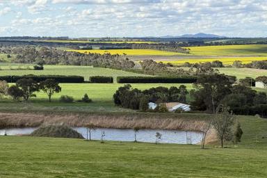 Lifestyle For Sale - VIC - Barrabool - 3221 - Architectural Brilliance offering Peace & Proximity  (Image 2)