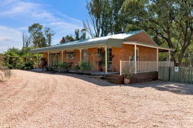 House For Sale - VIC - Nichols Point - 3501 - Lifestyle at its Finest - 1.5 acres on the Edge of King's Billabong  (Image 2)