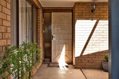 House For Sale - VIC - Mildura - 3500 - Warmth, Character and Country  Charm  (Image 2)