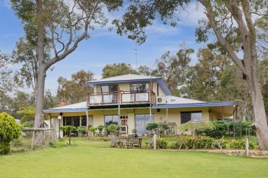 Mixed Farming For Sale - WA - Forest Grove - 6286 - A HIDEAWAY WHERE NATURE PAINTS THE PERFECT PICTURE (Image 2)