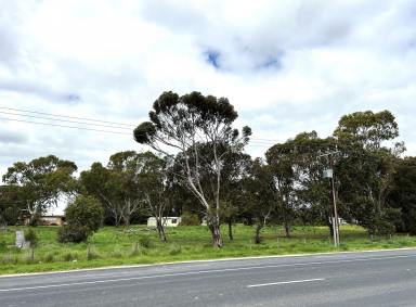 Land/Development For Sale - SA - Naracoorte - 5271 - Significant development opportunity  (Image 2)