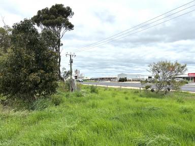 Land/Development For Sale - SA - Naracoorte - 5271 - Significant development opportunity  (Image 2)