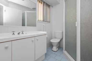 House For Sale - NSW - Raymond Terrace - 2324 - SPACIOUS FAMILY HOME WITH GREAT BONES & PLENTY OF POTENTIAL  (Image 2)