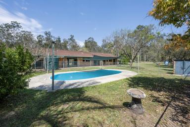 Lifestyle For Sale - NSW - Waterview Heights - 2460 - 100 ACRES ON THE EDGE OF TOWN - ROOM TO LIVE, GROW & PLAY  (Image 2)