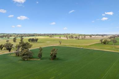 Mixed Farming Auction - NSW - Young - 2594 - "Bellissima" First Time Offered in 100 years  (Image 2)