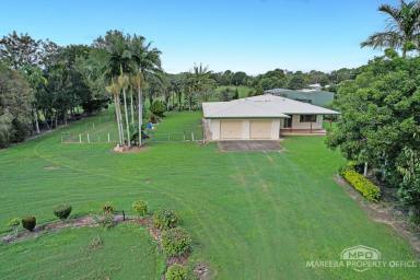 House For Sale - QLD - Mareeba - 4880 - SOLID, WELL-KEPT HOME ON 5,262M2 - MINUTES TO TOWN  (Image 2)