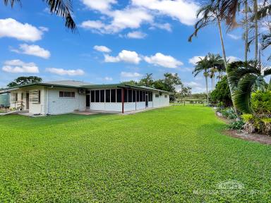 House For Sale - QLD - Mareeba - 4880 - SOLID, WELL-KEPT HOME ON 5,262M2 - MINUTES TO TOWN  (Image 2)