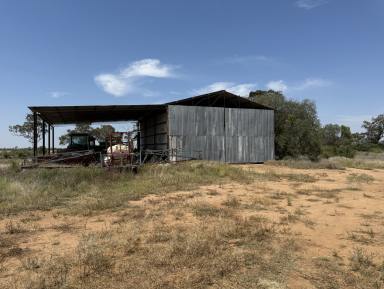 Cropping For Sale - NSW - Ashley - 2400 - Suburban Cropping  (Image 2)