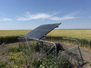 Cropping For Sale - NSW - Ashley - 2400 - Suburban Cropping  (Image 2)