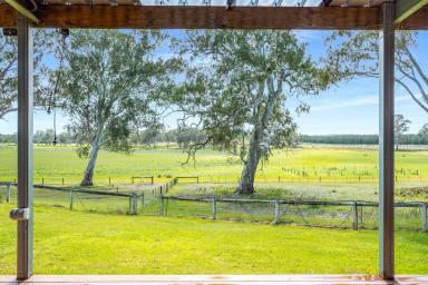 Lifestyle For Sale - SA - Coonawarra - 5263 - ‘’Windigi’’ — Stunning Lifestyle Retreat with Two Dwellings, Minutes from Penola  (Image 2)
