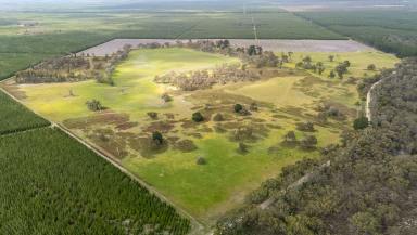 Lifestyle For Sale - SA - Coonawarra - 5263 - ‘’Windigi’’ — Stunning Lifestyle Retreat with Two Dwellings, Minutes from Penola  (Image 2)