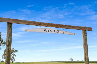Lifestyle For Sale - SA - Coonawarra - 5263 - ‘’Windigi’’ — Stunning Lifestyle Retreat with Two Dwellings, Minutes from Penola  (Image 2)