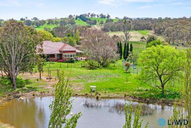 Lifestyle For Sale - NSW - Gunning - 2581 - EXCEPTIONAL HISTORIC LIFESTYLE HOLDING (Image 2)