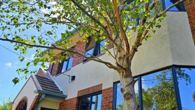 House For Sale - VIC - Bentleigh - 3204 - Prime Location, Perfect Lifestyle - In McKinnon School Zone  (Image 2)