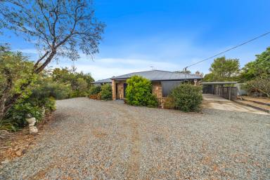 House For Sale - QLD - Woolooga - 4570 - A peaceful lifestyle haven with space, privacy, and modern comforts.  (Image 2)