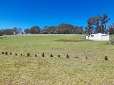 Residential Block For Sale - NSW - Black Mountain - 2365 - Rural Setting of 2 Acres with existing Shed (Image 2)