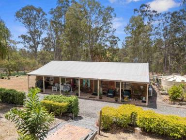Acreage/Semi-rural For Sale - QLD - The Palms - 4570 - PEACEFUL ACREAGE LIVING JUST MINUTES FROM TOWN  (Image 2)