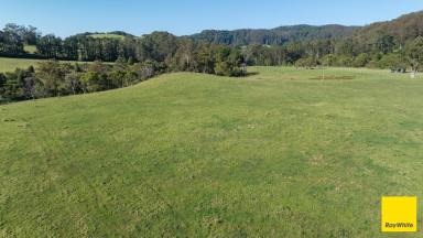 Mixed Farming Sold - NSW - Dorrigo - 2453 - Its Green Here!  (Image 2)