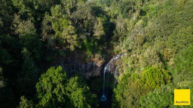 Mixed Farming For Sale - NSW - Dorrigo - 2453 - The Perfect Balance of Productivity and Conservation  (Image 2)