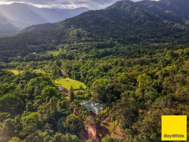 House Auction - QLD - Little Mulgrave - 4865 - Private Rainforest Retreat with Waterfall and Acreage Lifestyle  (Image 2)