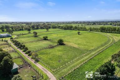 Lifestyle For Sale - VIC - Bayles - 3981 - 38 ACRES OF QUALITY PASTURE & HORSE INFRASTRUCTURE  (Image 2)