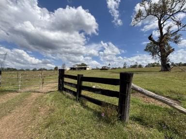 Livestock Sold - NSW - Coutts Crossing - 2460 - OFF MARKET SUCCESS ON KANGAROO CREEK ROAD  (Image 2)