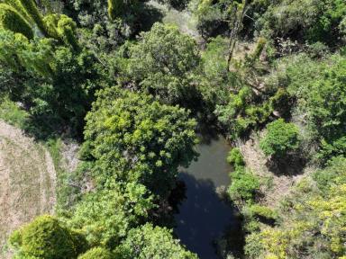 Lifestyle For Sale - NSW - Eden Creek - 2474 - EDEN CREEK STUNNER  (Image 2)