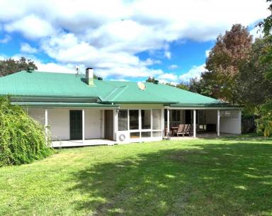 Livestock For Sale - NSW - Bonalbo - 2469 - 78 ACRES WITH CREEK FRONTAGE  (Image 2)