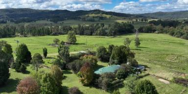 Livestock For Sale - NSW - Bonalbo - 2469 - 78 ACRES WITH CREEK FRONTAGE  (Image 2)