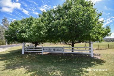 Lifestyle For Sale - NSW - Warialda - 2402 - CHARM, VIEWS & SPACE TO BREATHE  (Image 2)