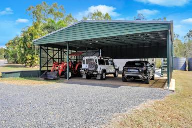 Lifestyle For Sale - QLD - Apple Tree Creek - 4660 - BUSH HAVEN  (Image 2)