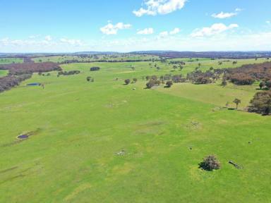 House For Sale - NSW - Boorowa - 2586 - Expressions of Interest - Productive 317-Acre Grazing & Lifestyle Opportunity  (Image 2)