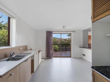 House For Lease - TAS - Bridgewater - 7030 - 3 Bedroom Family Home - Pets Considered  (Image 2)