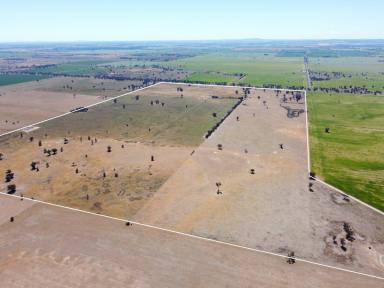 Mixed Farming For Sale - NSW - Quandialla - 2721 - 601 Acres – Quality Mixed Farming Country in the Quandialla District  (Image 2)