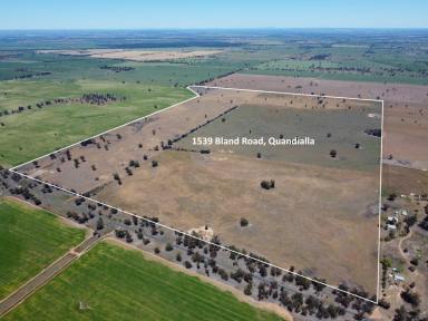 Mixed Farming For Sale - NSW - Quandialla - 2721 - 601 Acres – Quality Mixed Farming Country in the Quandialla District  (Image 2)