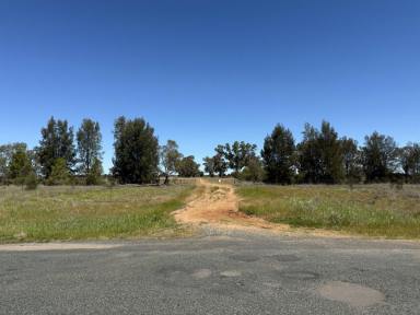 Mixed Farming For Sale - NSW - Quandialla - 2721 - 601 Acres – Quality Mixed Farming Country in the Quandialla District  (Image 2)