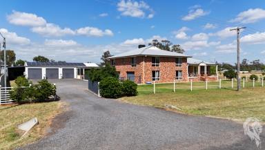 House For Sale - NSW - Narrabri - 2390 - DOUBLE BRICK FAMILY HOME WITH SECOND LIVING ON 3,600SQM BLOCK.  (Image 2)