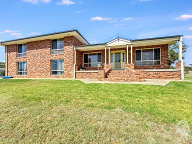 House For Sale - NSW - Narrabri - 2390 - DOUBLE BRICK FAMILY HOME WITH SECOND LIVING ON 3,600SQM BLOCK. (Image 2)