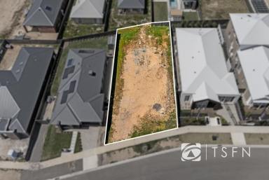 Residential Block For Sale - VIC - Strathfieldsaye - 3551 - Build Your Dream Home Beside Strathfieldsaye’s Premium Display Village  (Image 2)